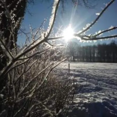 Relax, Explore, And Dine In Aalten, Cleaning Included Алтен