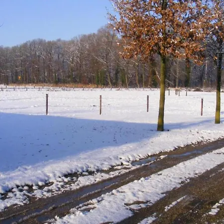 Relax, Explore, And Dine In Aalten, Cleaning Included