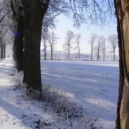 Relax, Explore, And Dine In Aalten, Cleaning Included * Алтен